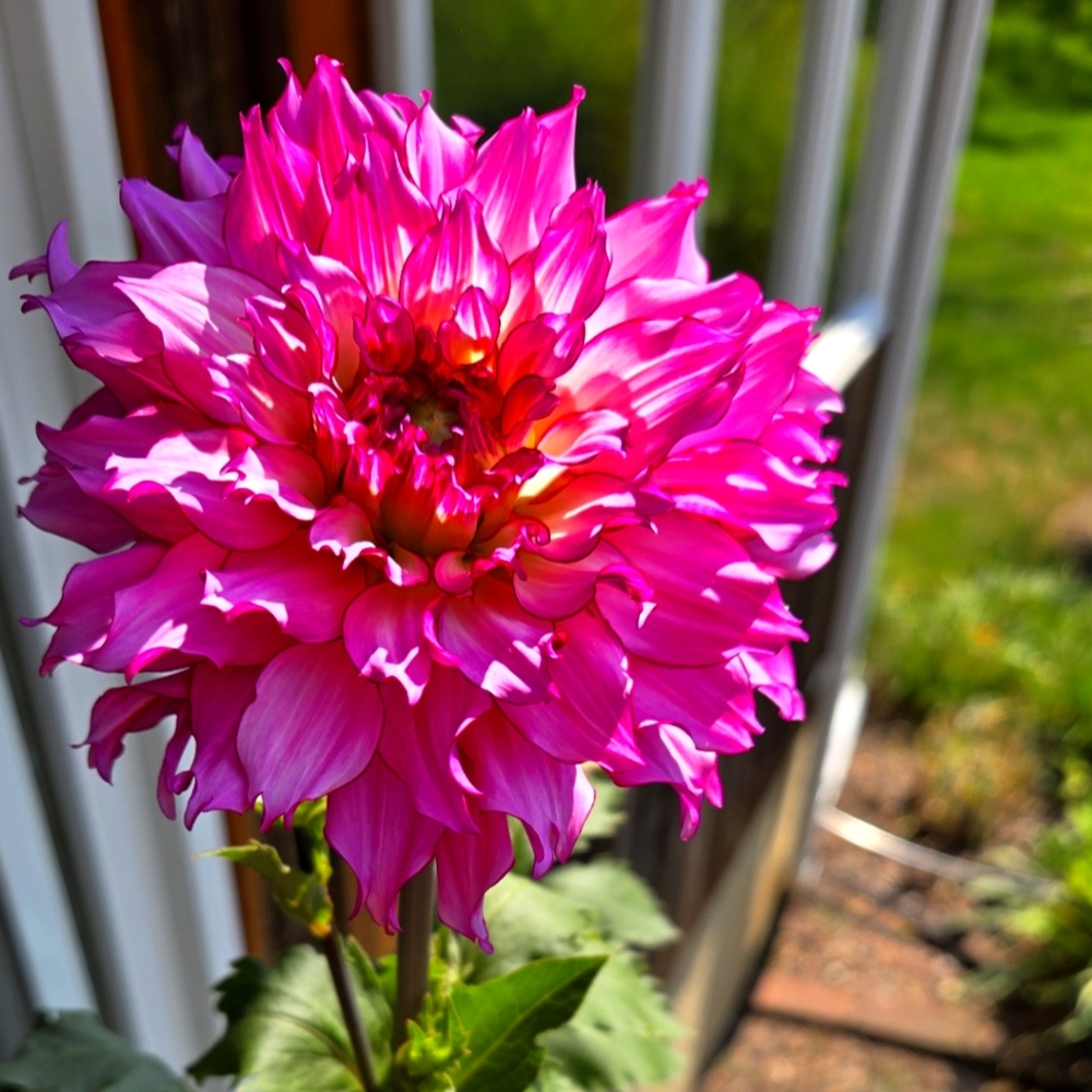 Meet your Posher, June
